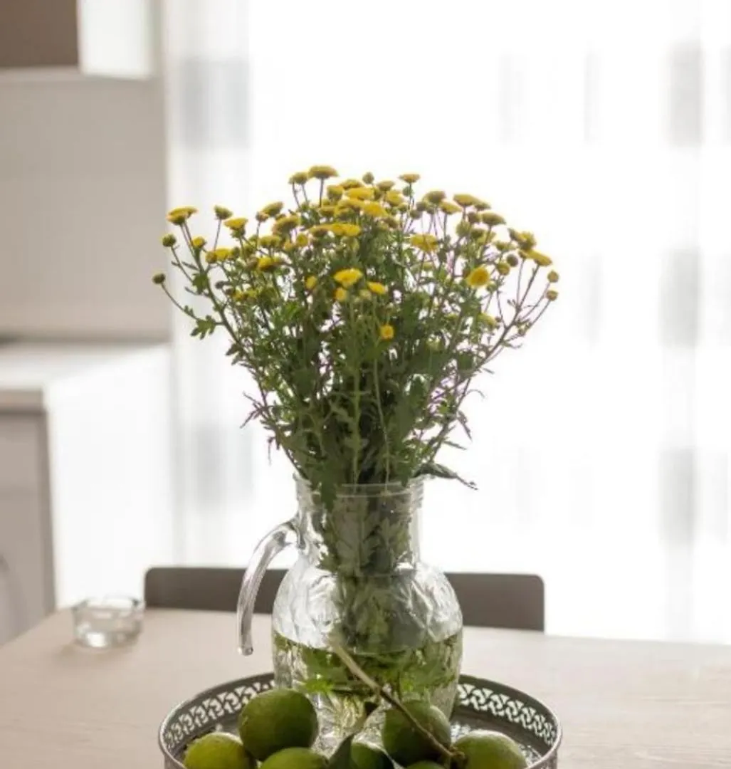 Apartment Holiday House Lady Terrasini